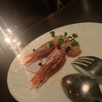 TOOTH TOOTH TOKYO - 