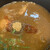 吟醸らーめん 久保田 - 料理写真:スープ