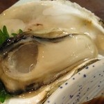 Haya Iso - 岩牡蠣をアップ