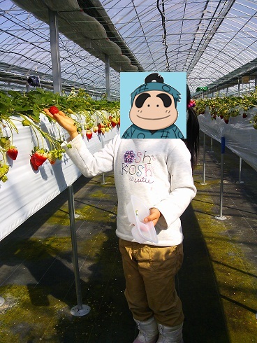 軽井沢ガーデンファームいちご園 name=