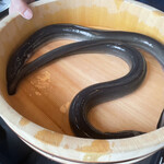 銀座 四代目 高橋屋 - 