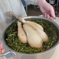 SEZANNE - 美膳軍鶏のドランクチキン、ヴァンジョーヌで
