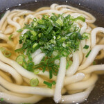 山下本気うどん - うどん