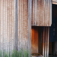 本湖月 -  本湖月 -