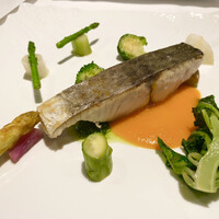 ヴォーロ・コズィ - 