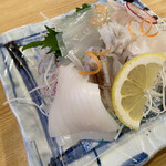 かもめ食堂 - ヤリイカの刺し身