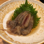魚料理・もつ鍋  山咲き - ホタルイカ