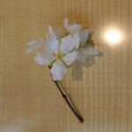 Teuchi Soba Katou - 桜の花