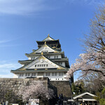 171927026 - ❀.*･ﾟ✿゜:。*大阪城と桜❀.*･ﾟ✿゜:。*