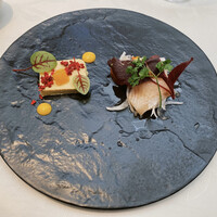 tcc GINZA -  tcc GINZA -