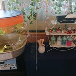 ブッフェレストラン トップ オブ ミヤコ - 綿菓子コーナー