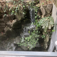 赤坂 津つ井 総本店 - 