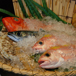 Toride - 新鮮な魚介類は美味しさ◎