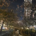 リナシメント - 目黒川