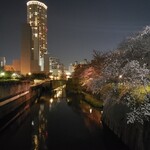 リナシメント - 目黒から中目黒方面へ目黒川の桜並木をさかのぼる