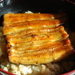 うなぎ、アップ