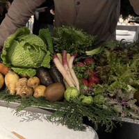 レフェルヴェソンス - 