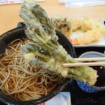 乙蕎麦 - タラの芽 アップ