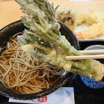 乙蕎麦 - タラの芽アップ  大きくてホクホク柔らか