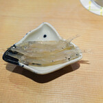 東麻布 天本 - 白魚