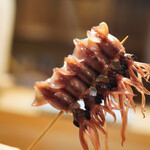 東麻布 天本 - ほたるいか