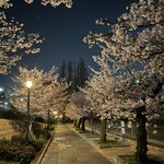 本町製麺所 本店 - 約4800本の桜並木のプロムナードが美しい桜ノ宮。