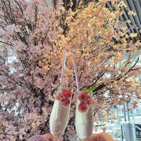 Japanese Restaurant KINZA - 
