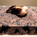 島津 - トリ貝（兵庫）