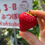 姫路ハートフル観光農園 - 