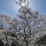 姫路ハートフル観光農園 - 