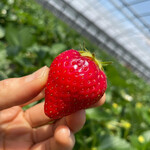 姫路ハートフル観光農園 - 