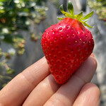 姫路ハートフル観光農園 - 