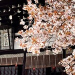 Mitsubachi - 京都御所　紫宸殿　左近の桜