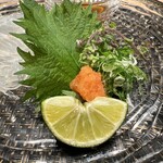 難波 寿司 まつもと - 