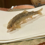 ぬま田 - 琵琶湖の稚鮎