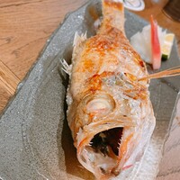 のどぐろの中俣 新橋 - 