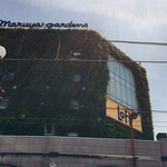 Shirokuma cafe - 