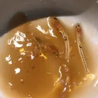 三四郎 -  三四郎 -