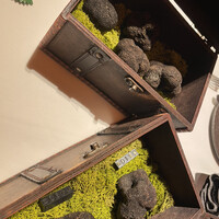 マルゴット エ バッチャーレ - 