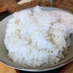 Iinoya - 220408金　神奈川　飯野屋　ご飯大盛り