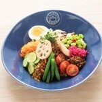 Bibimbap with 17 kinds of colorful vegetables (gochujang sauce)