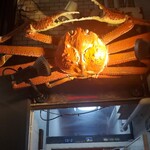 二代目 梅太郎 - 