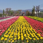 ハーブ庭園 旅日記 勝沼庭園 ソフトクリーム売店 - キレイです～