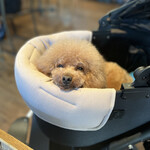 anea cafe - 食べたらまったり♪