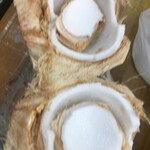 楽楽生鮮 - ヤングココナッツのジュースをビニール袋ないれ、殻を２つにカットしていただく
