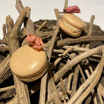 ラ・ヴァガボンド - 桜のマカロン