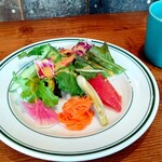 ビオスケッチ - 料理写真:ランチのサラダ