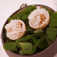 RISPETTO - 