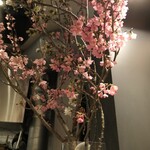 Yakitori Abe - 桜