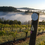 Flowers Vineyards & Winery - ワイナリー